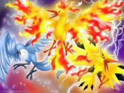 logo_Legendary-birds-legendary-pokemon-6924218-1024-768_1_